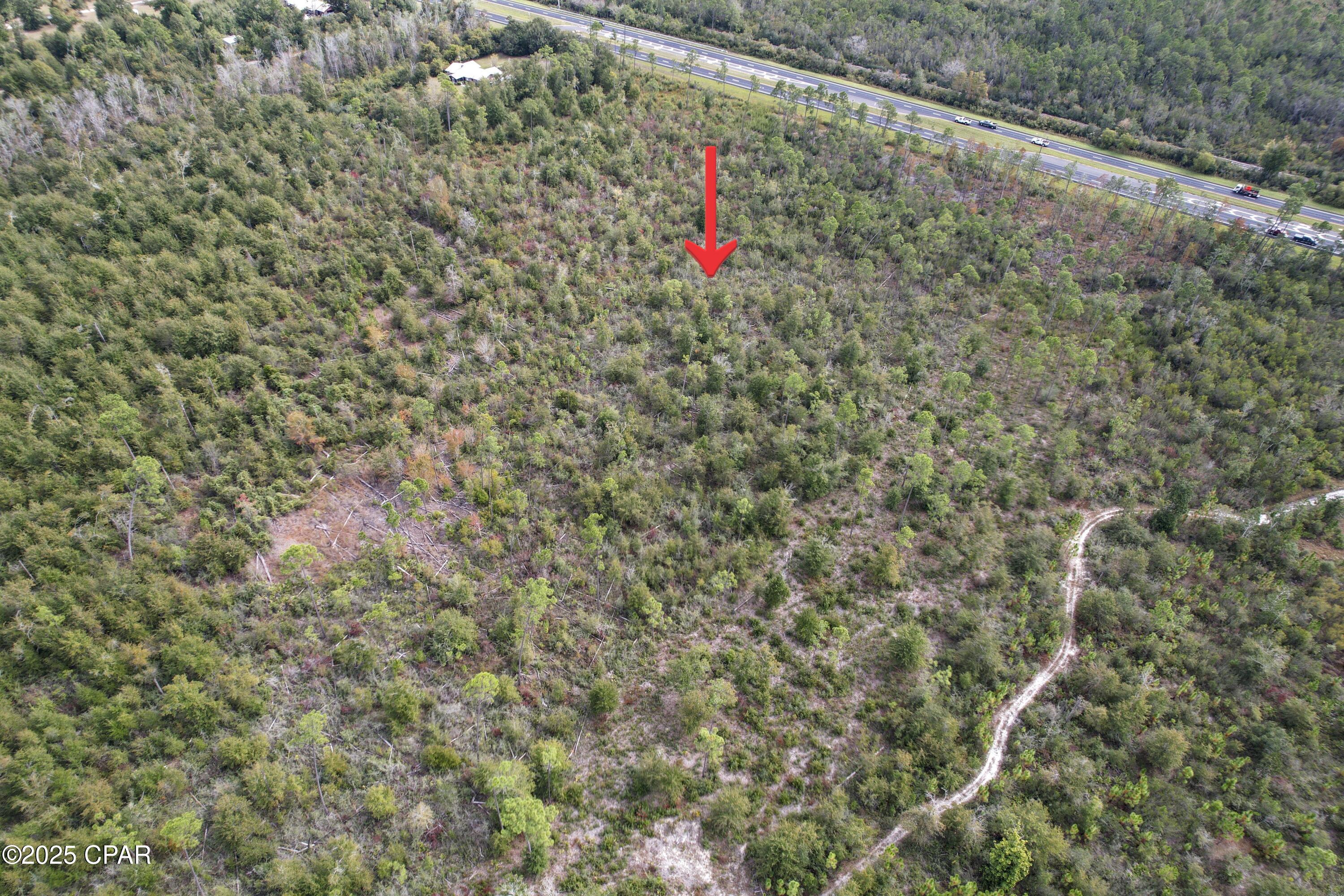 Image 2 For 0000 Hwy 231
