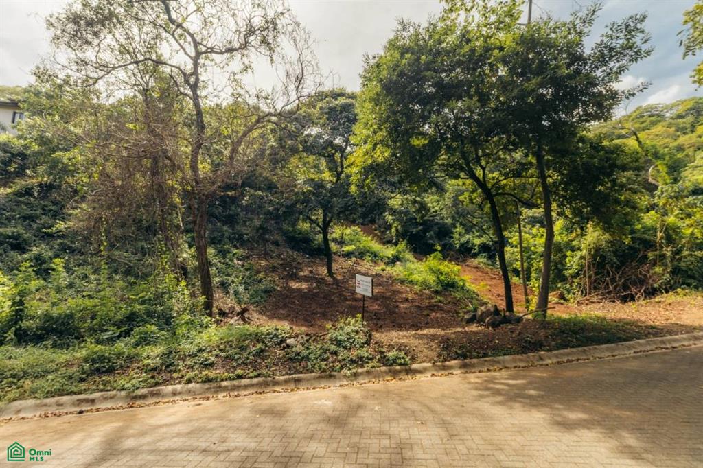 0 bed Land For Sale in Carrillo, Guanacaste - 1