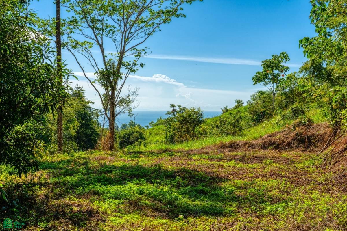 , Bahía Ballena, Osa, Puntarenas