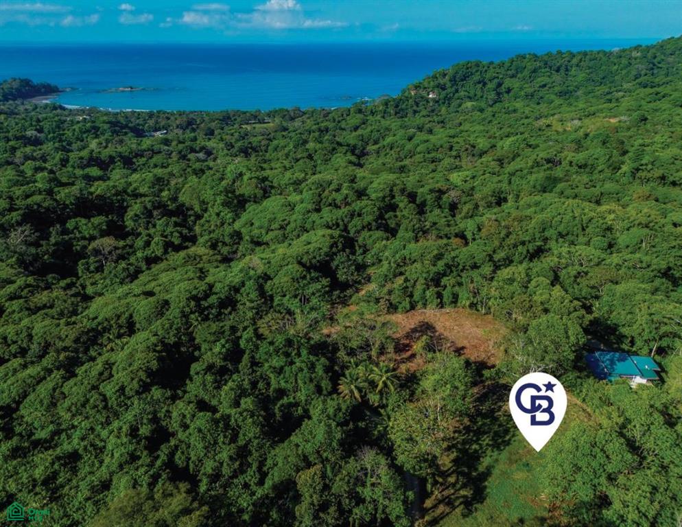 0 bed Land For Sale in Osa, Puntarenas - 1