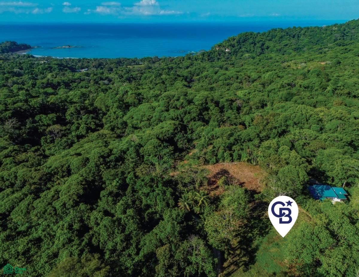 , Bahía Ballena, Osa, Puntarenas