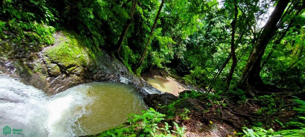 2 bed Land For Sale in Parrita, Puntarenas - 1