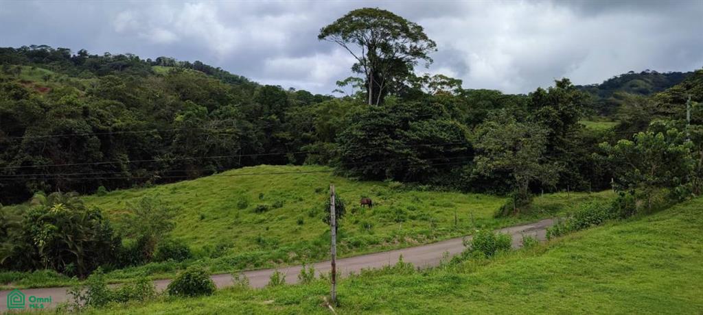0 bed Land For Sale in Turrubares, San Jose - 1