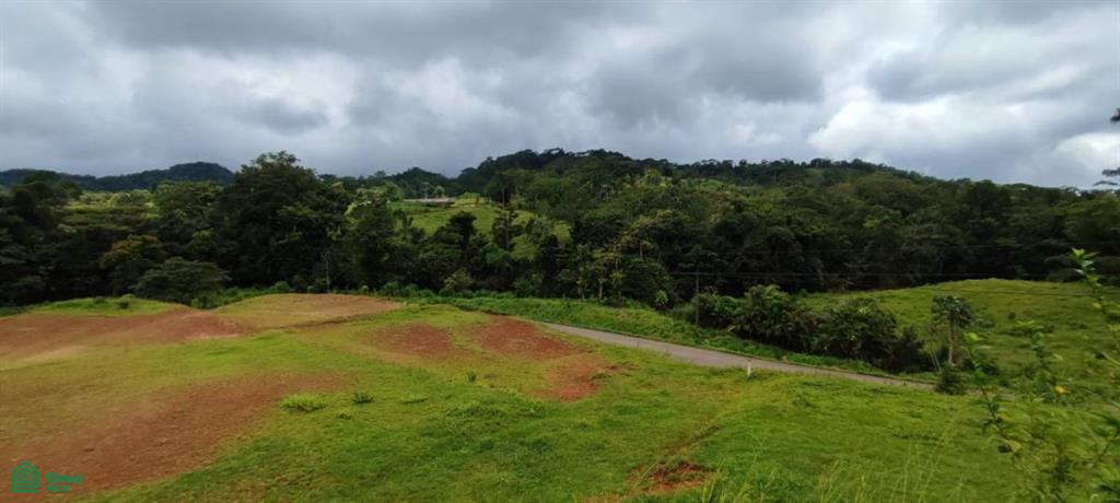 0 bed Land For Sale in Turrubares, San Jose - 1
