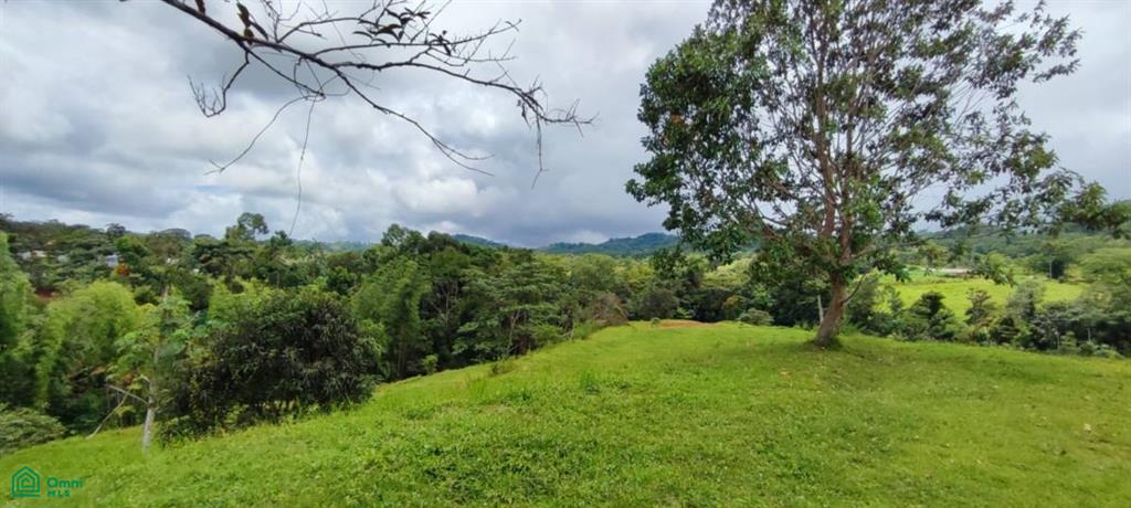 0 bed Land For Sale in Turrubares, San Jose - 1
