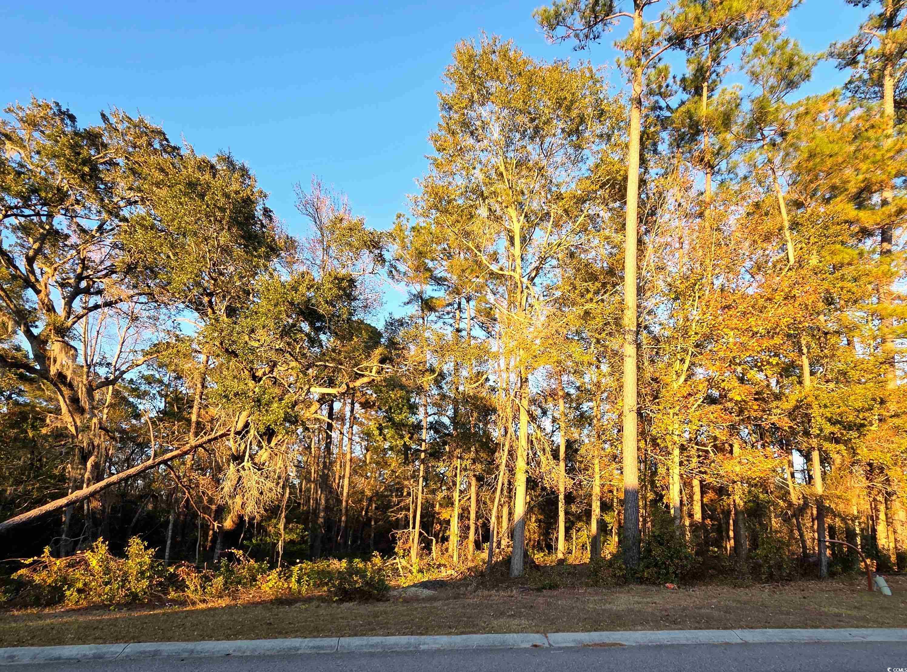 616 McCown Dr. Conway, SC 29526