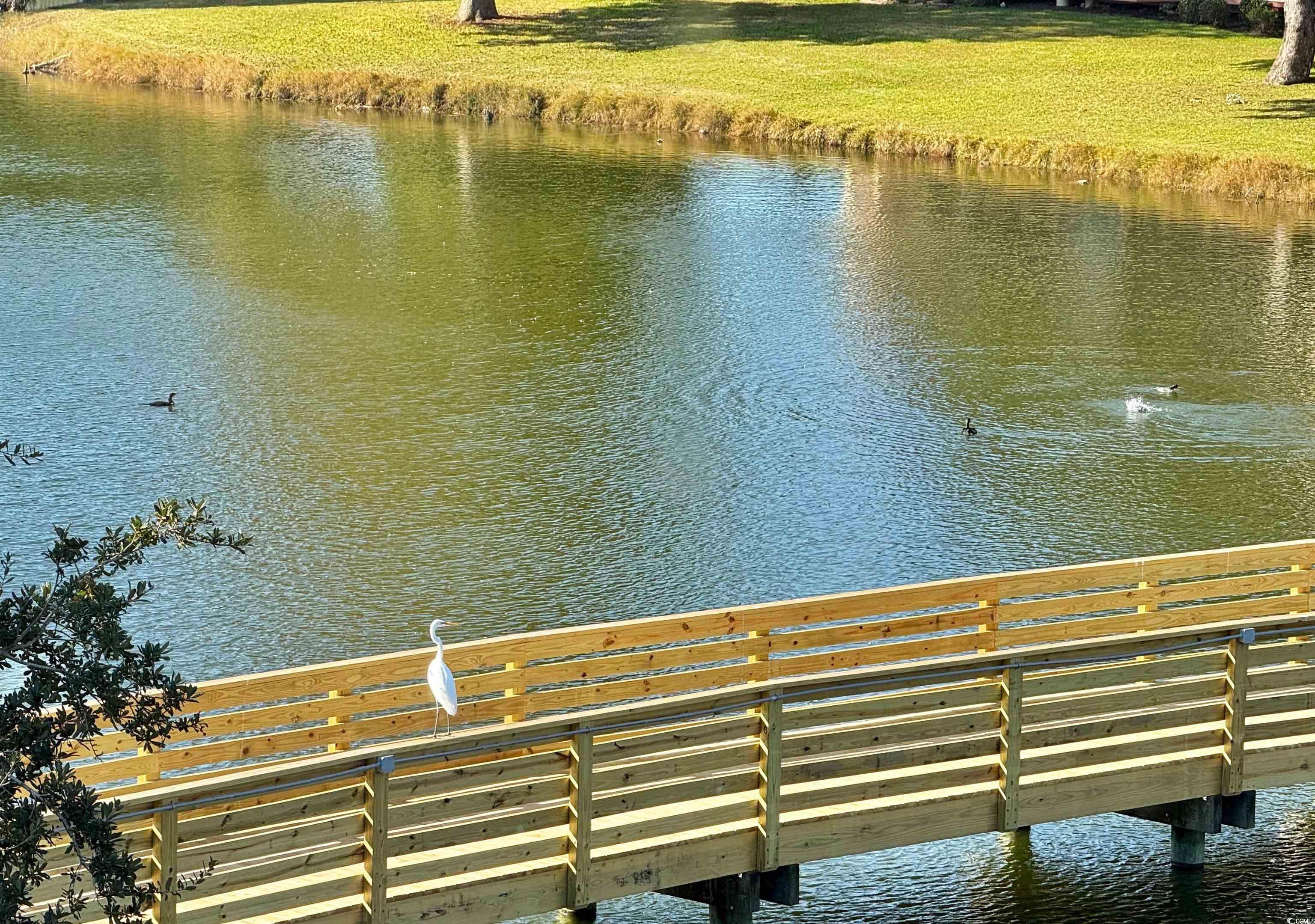 2528297 | Photo 11