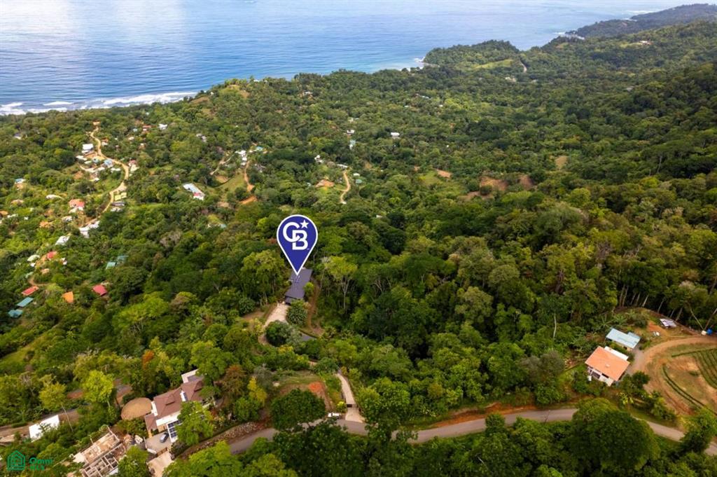 0 bed Land For Sale in Osa, Puntarenas - 1