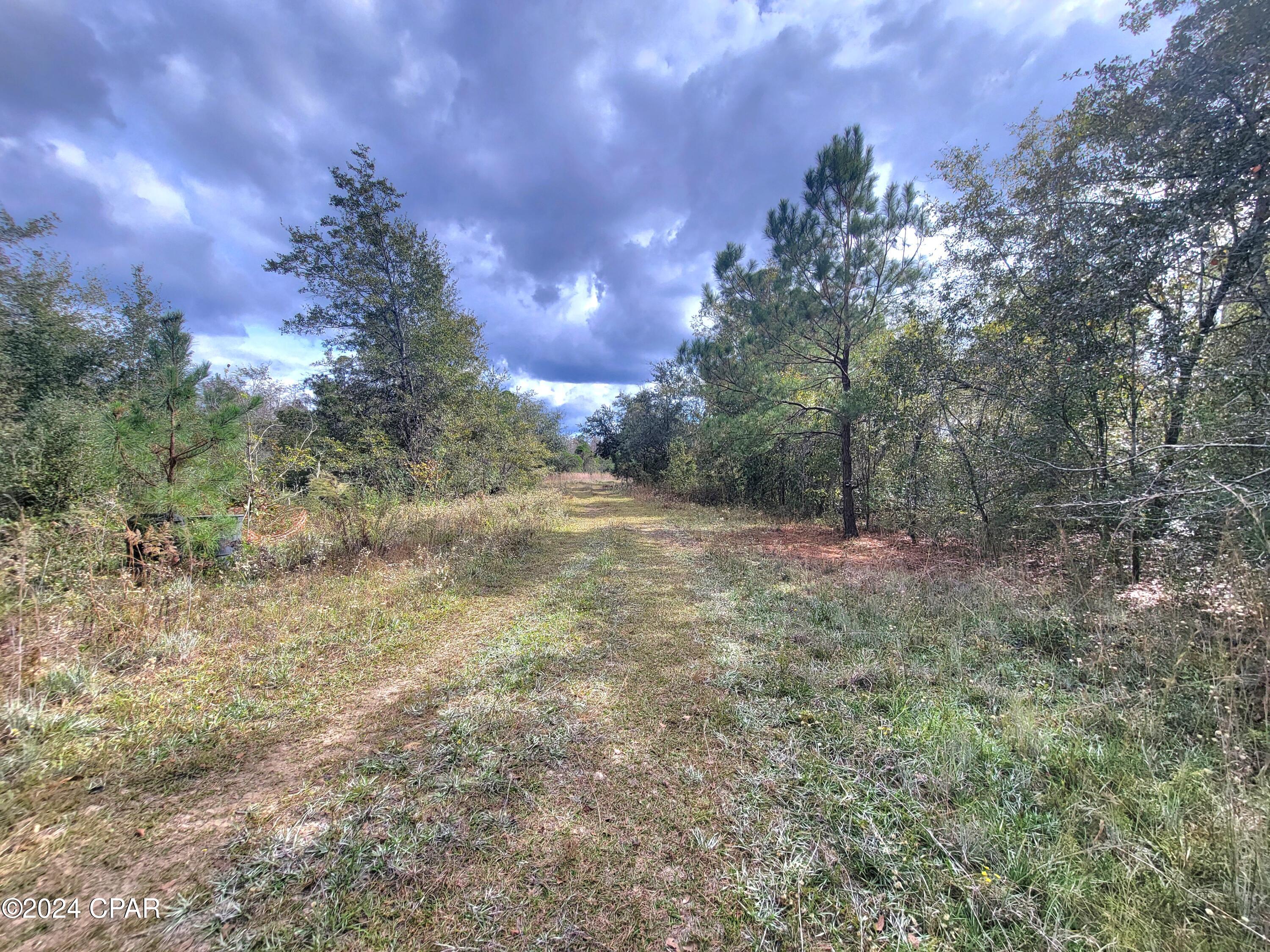1st image of 00 Sandridge Church Rd, Grand Ridge, FL 32442 | MLS# 782329
