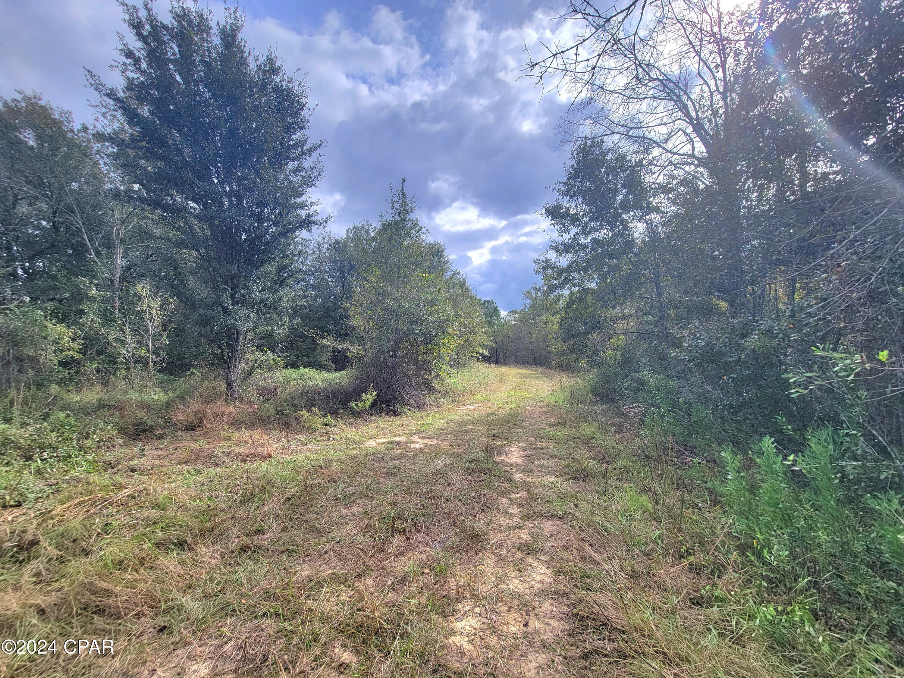 2nd image of 00 Sandridge Church Rd, Grand Ridge, FL 32442 | MLS# 782329