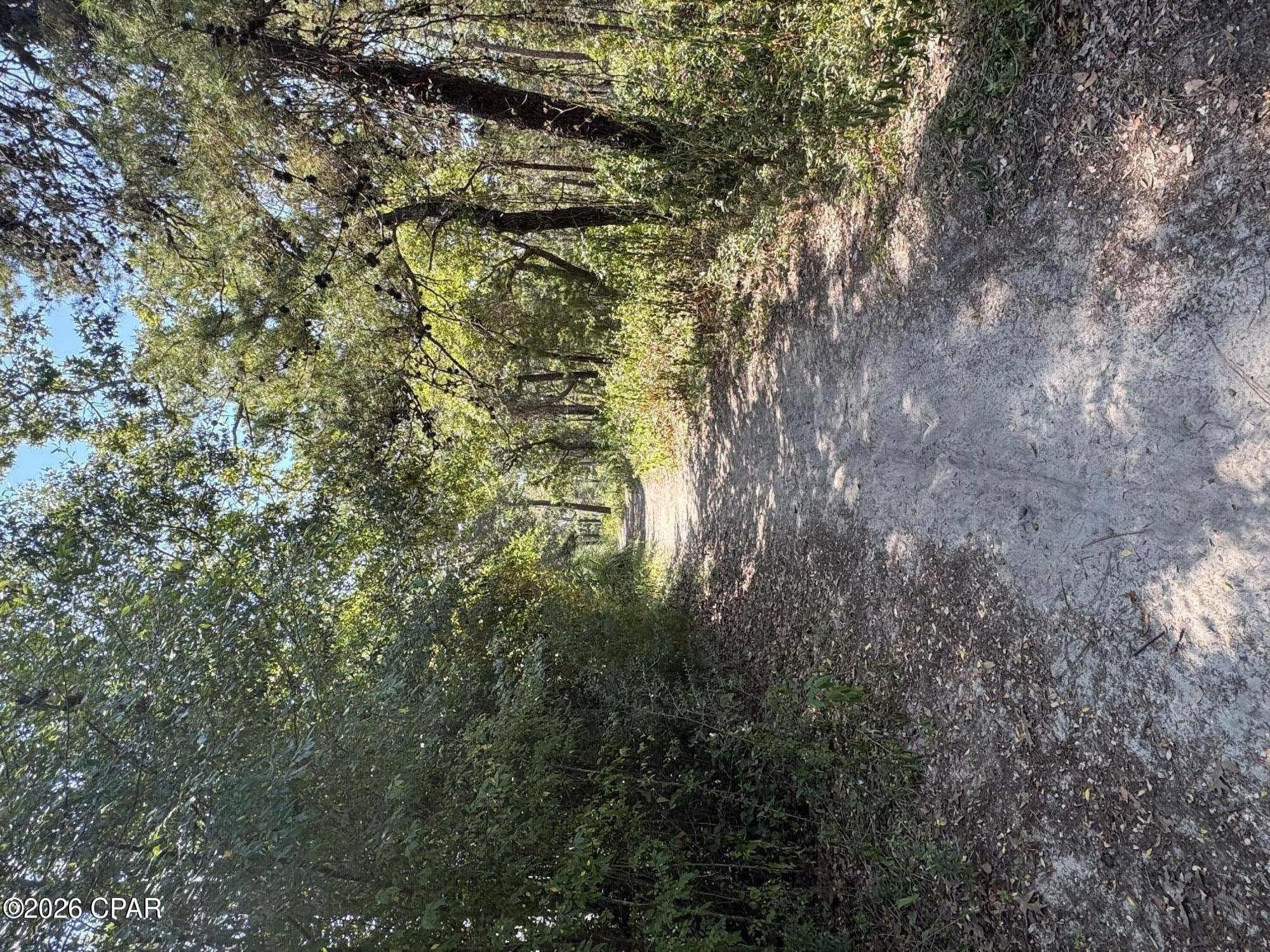 Image 49 For 231 Via Largo  # 39-b