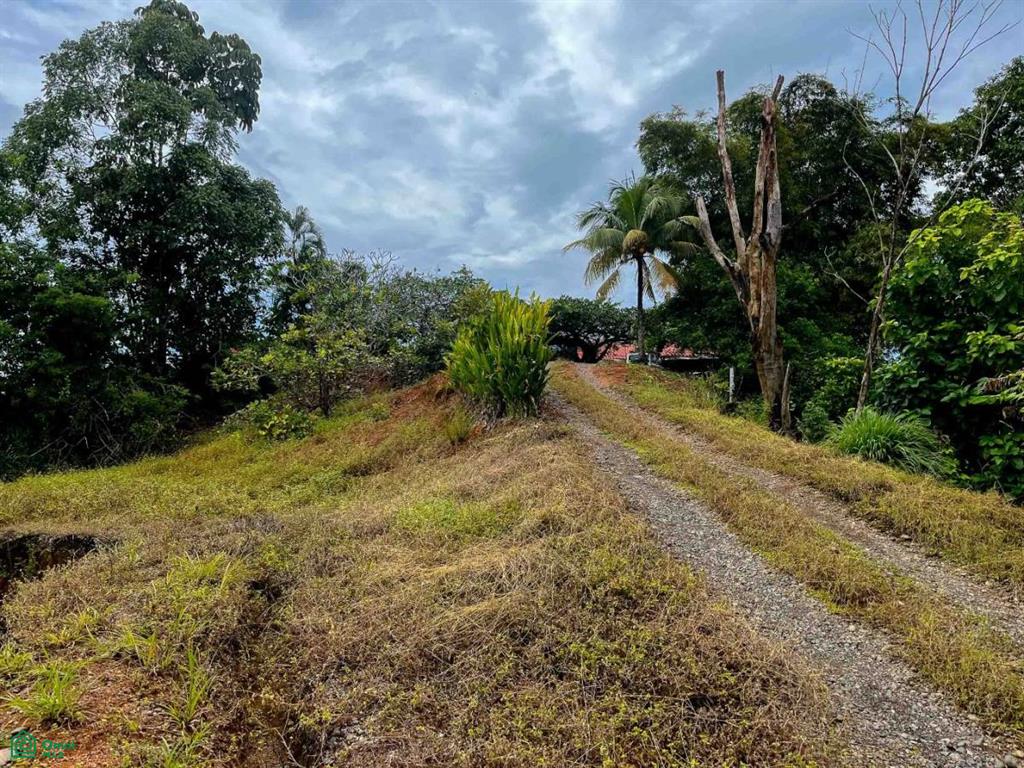0 bed Land For Sale in Osa, Puntarenas - 1