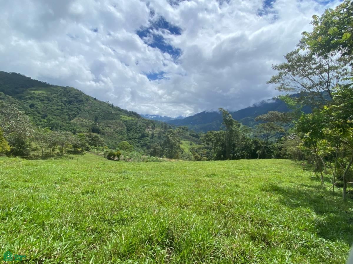 0 bed Land For Sale in Perez Zeledon, San Jose - 1