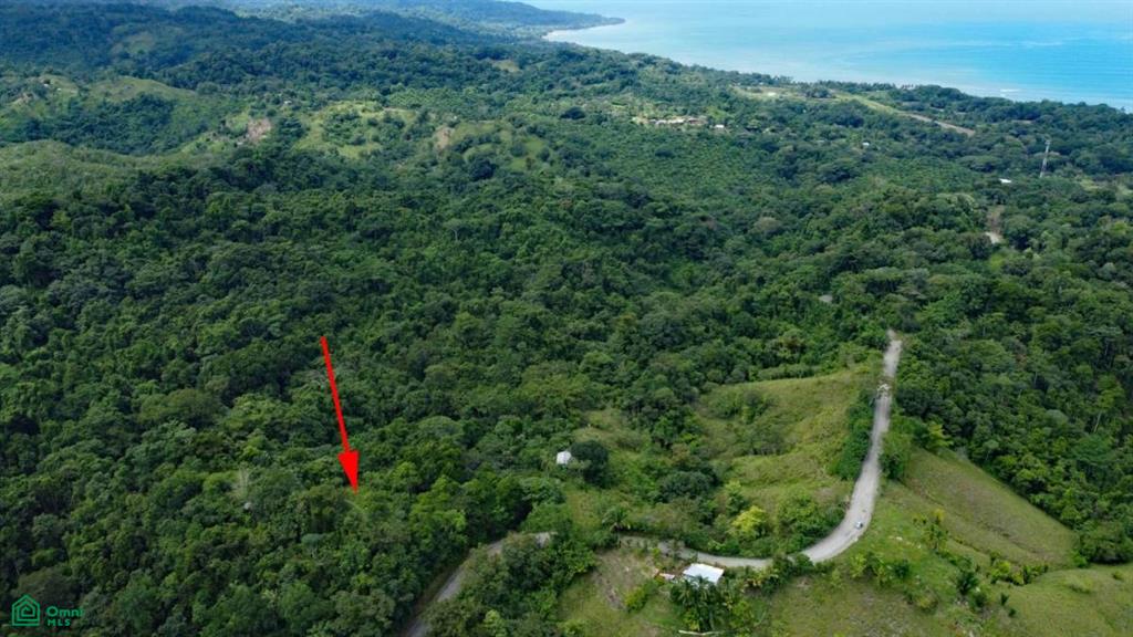 0 bed Land For Sale in Pavon, Puntarenas - 1
