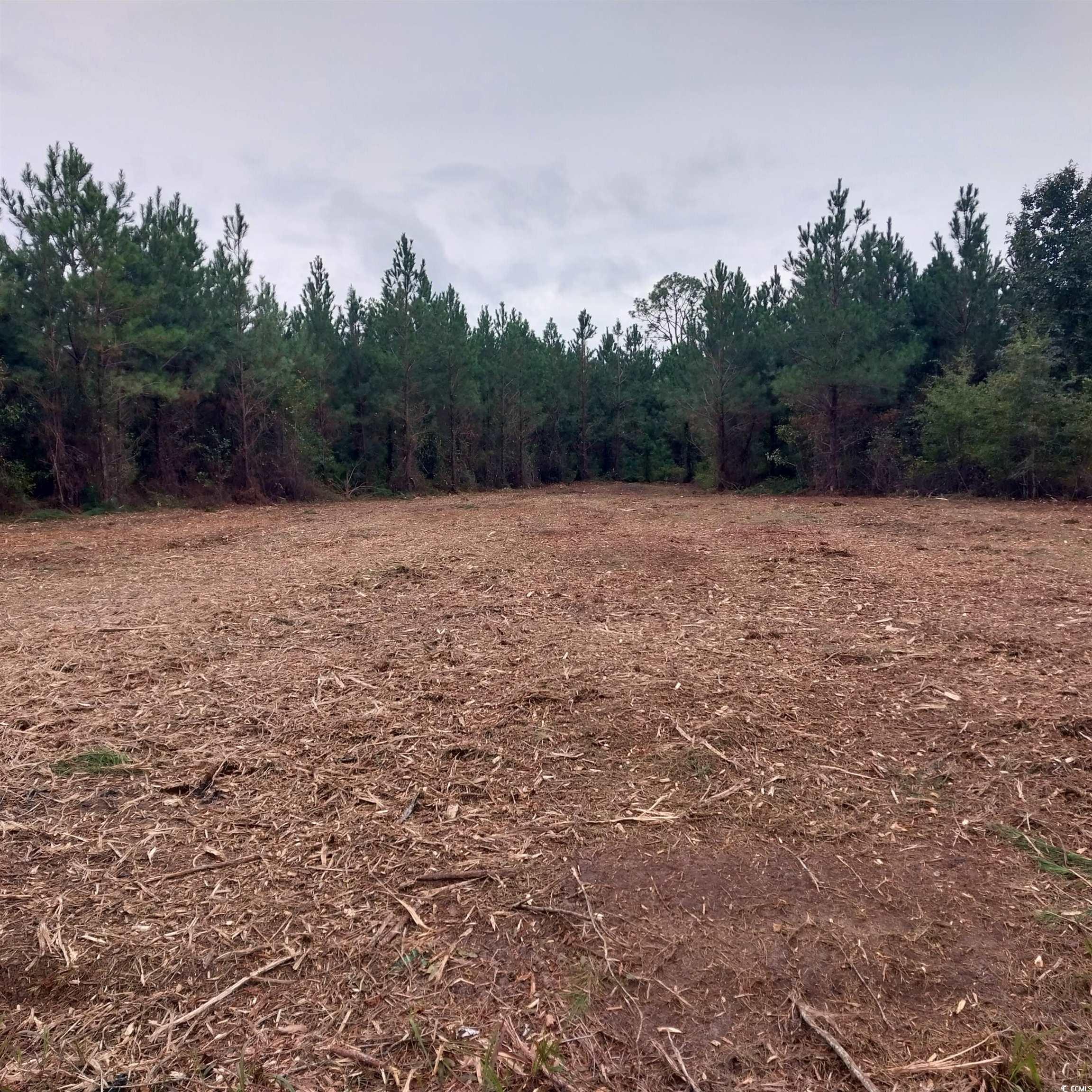Photo 2 of Land for sale at Lot 7&8 Harper Rd, Marion, SC 29571 | MLS# 2529254 | Listing updated on 2026-10-20