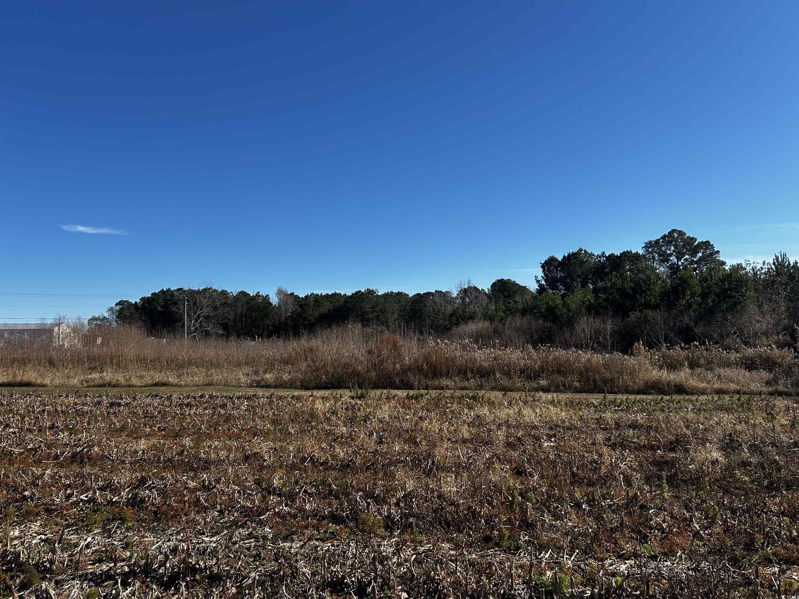 1.70 Acres West Dogwood Rd. Loris, SC 29569