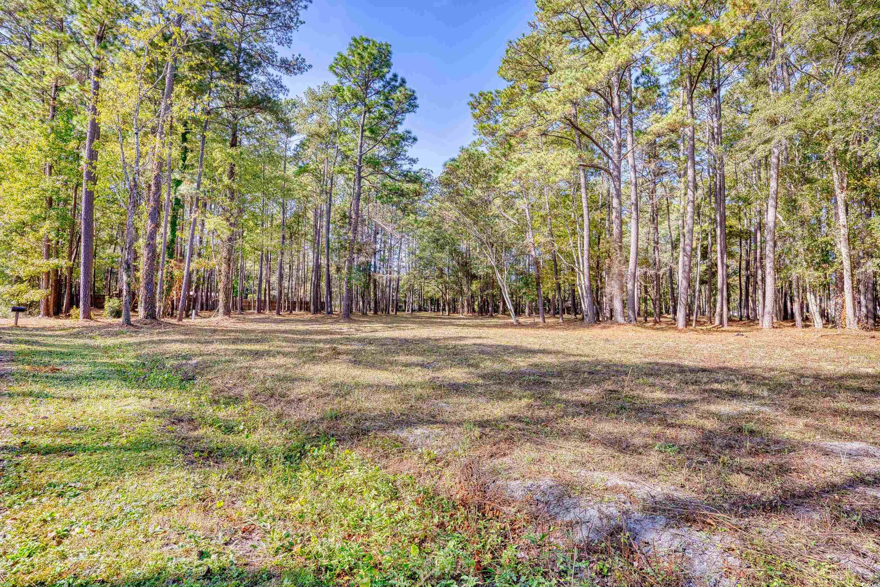 2529409 | Photo 4