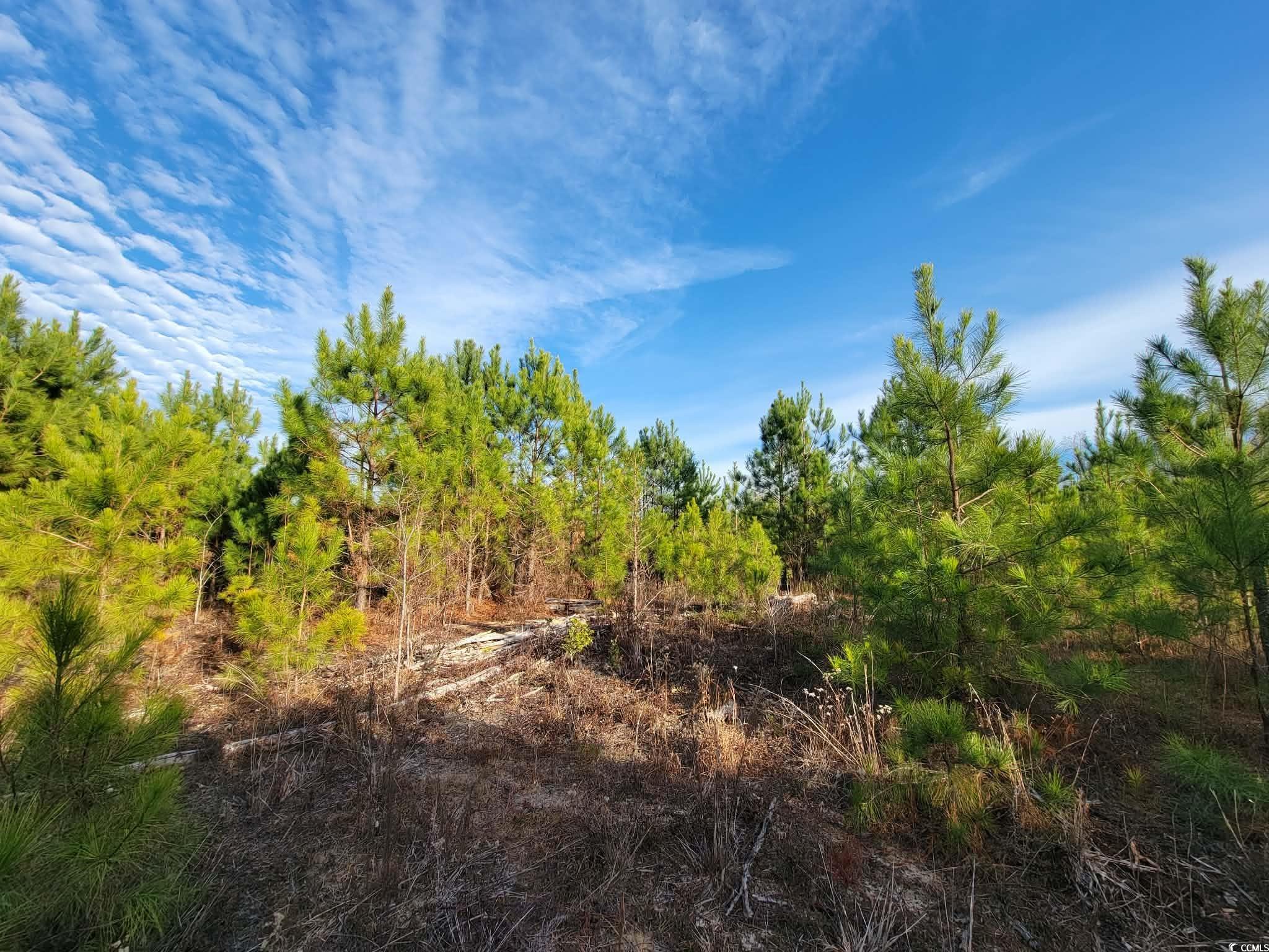 2529512 | Photo 27