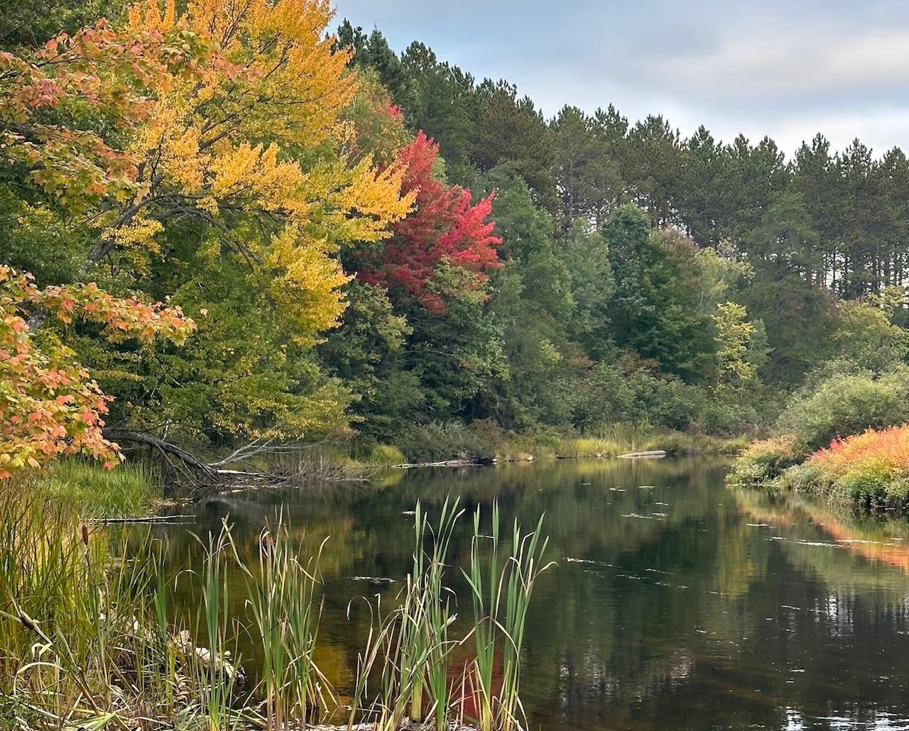 River Property Property 11305 Cth M Photo 33