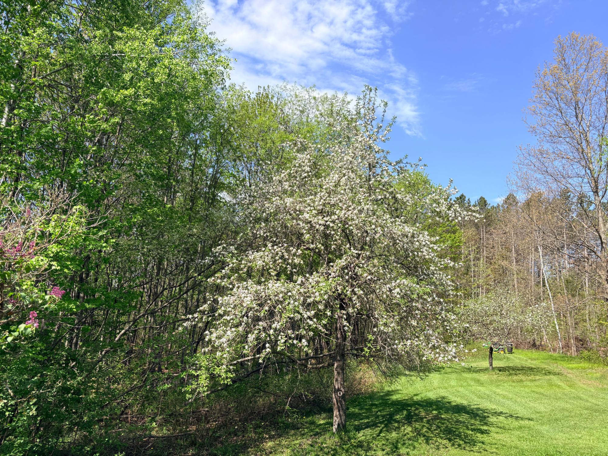 River Property Property 11305 Cth M Photo 38