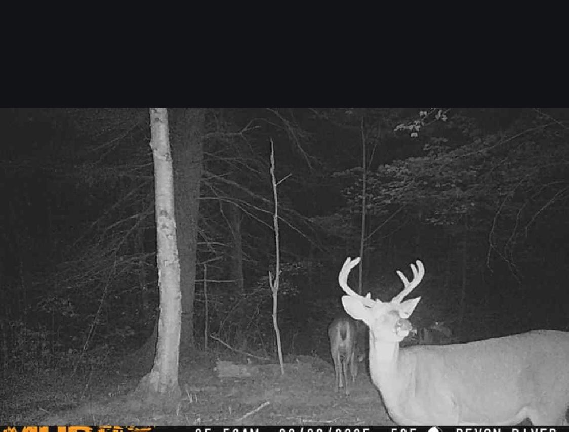 River Property Property 11305 Cth M Photo 43