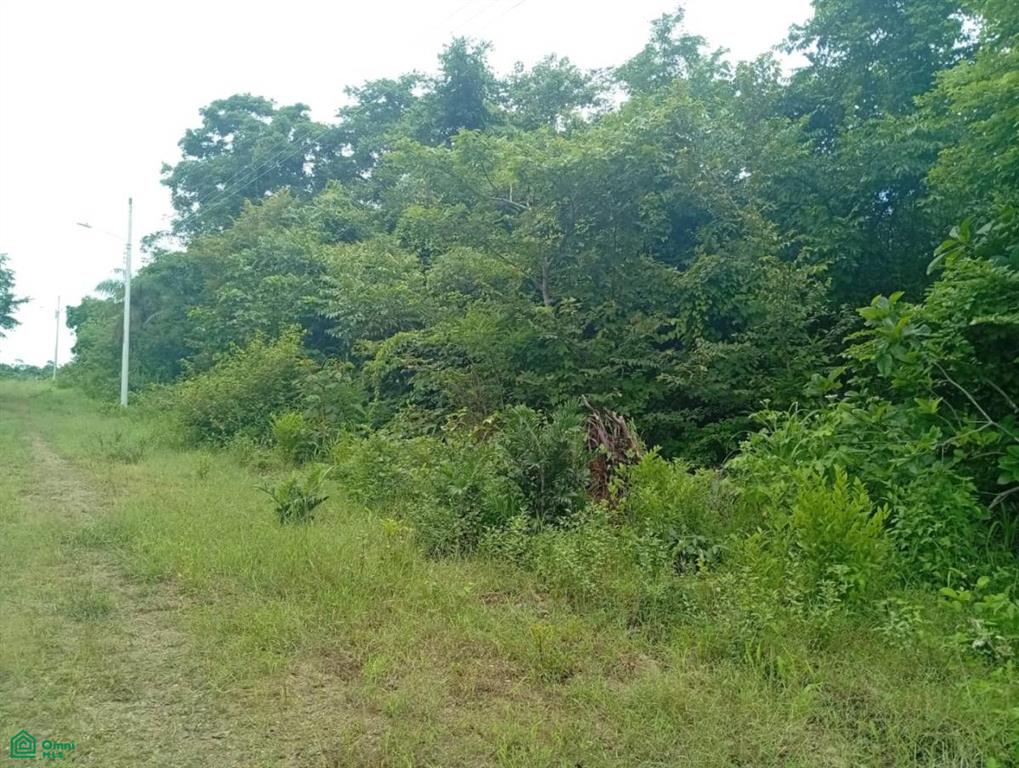 0 bed Land For Sale in Garabito, Puntarenas - 1