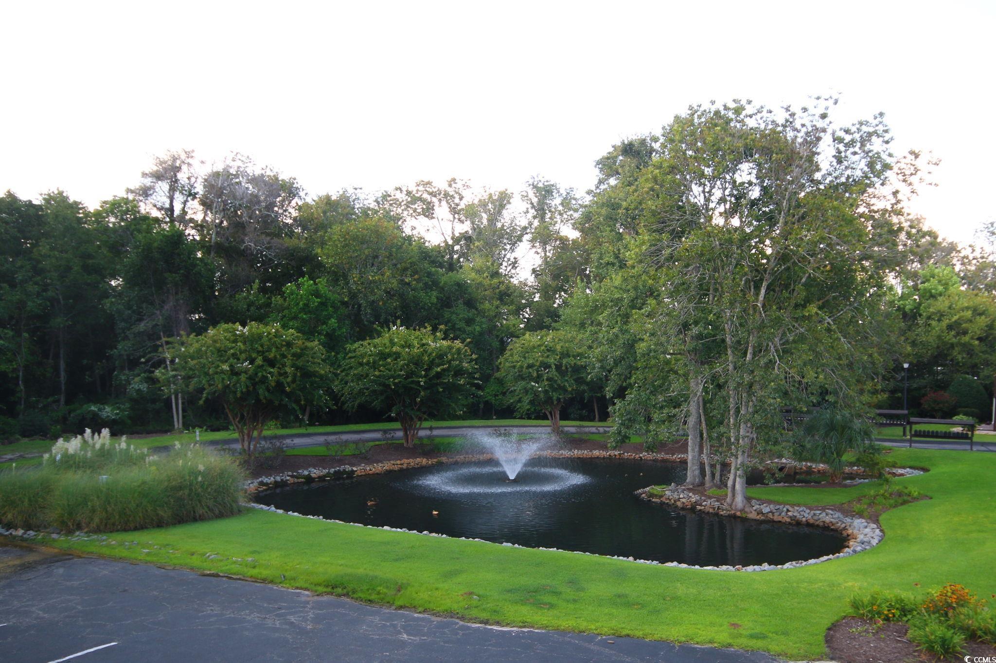 2529679 | Photo 21
