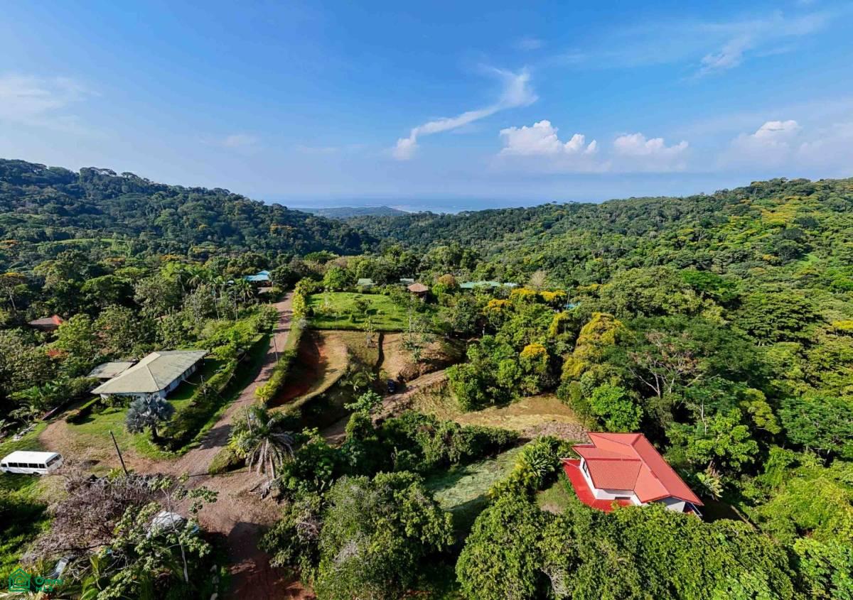 0 bed Land For Sale in Osa, Puntarenas - 1
