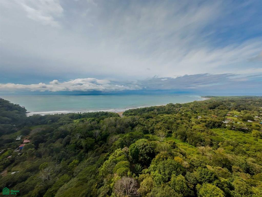 0 bed Land For Sale in Osa, Puntarenas - 1
