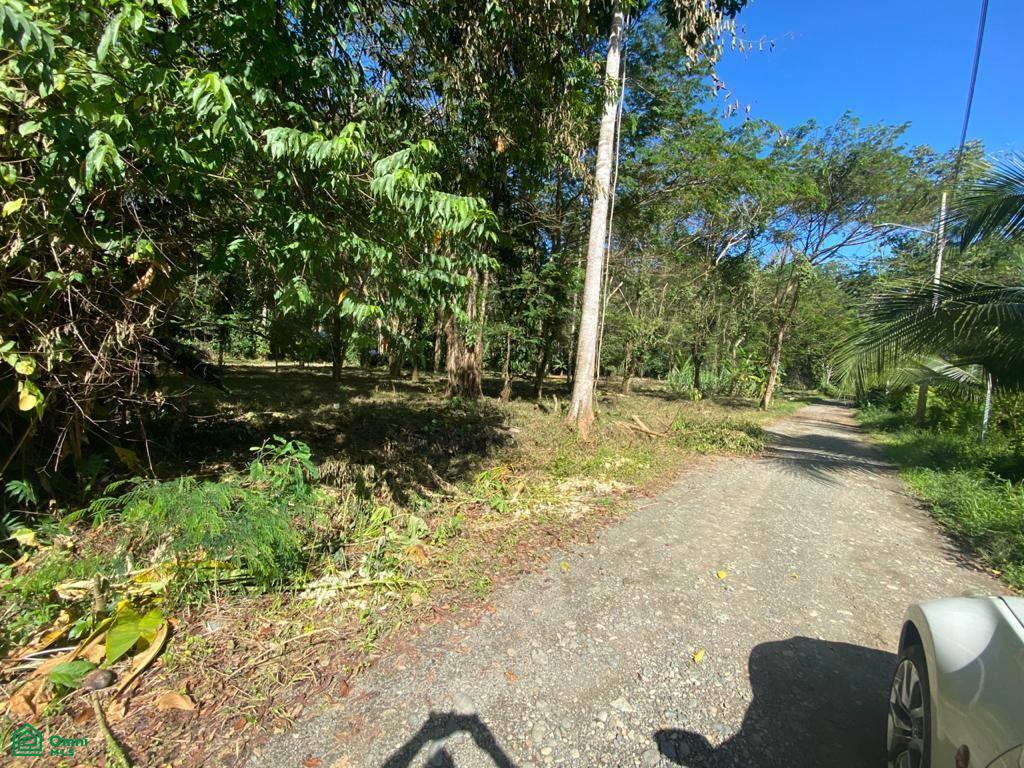 0 bed Land For Sale in Talamanca, Limon - 1