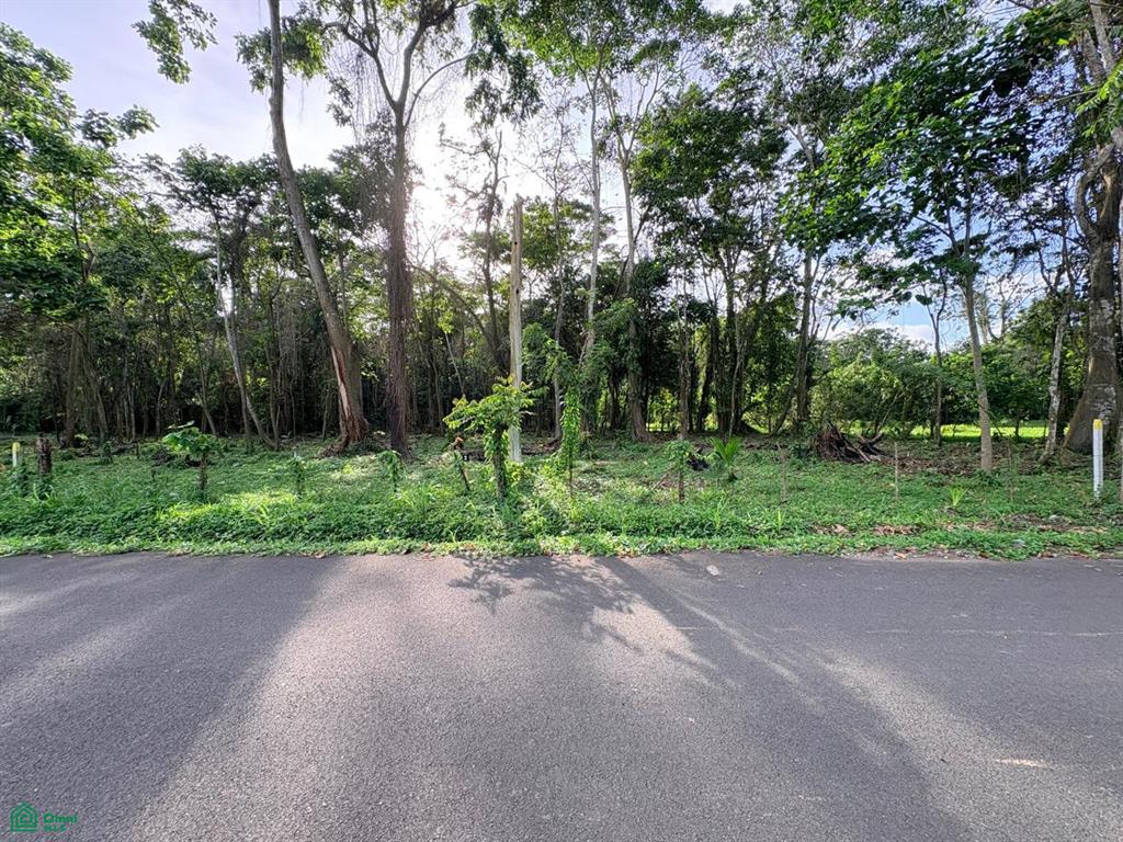 0 bed Land For Sale in , Limon - 1