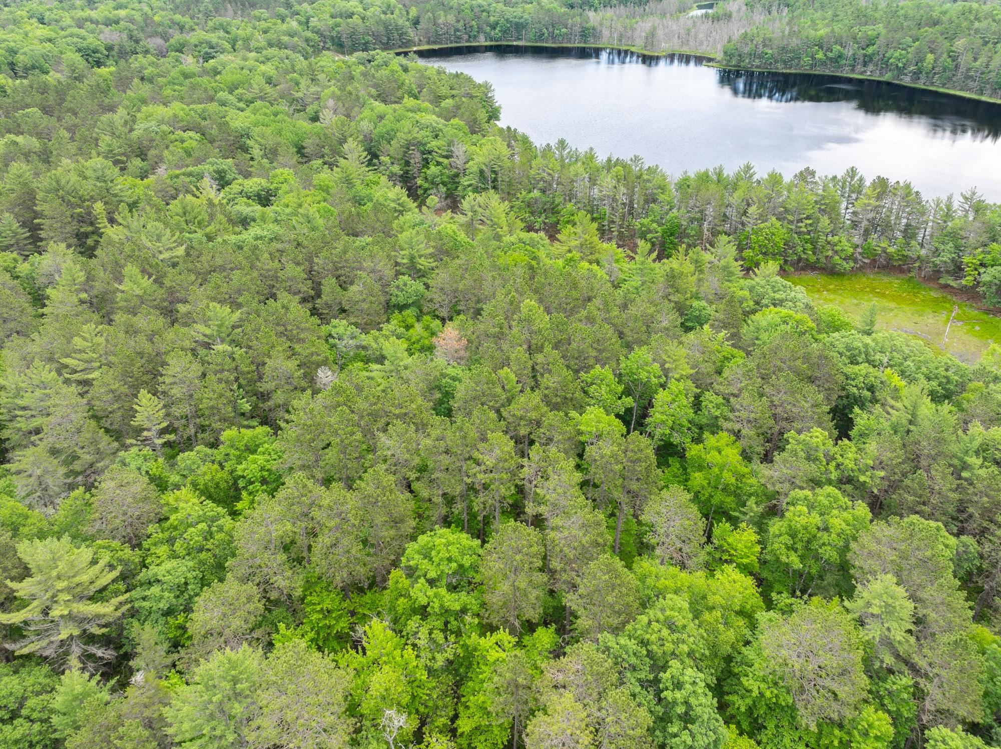 Undocumented Lake lot picture
