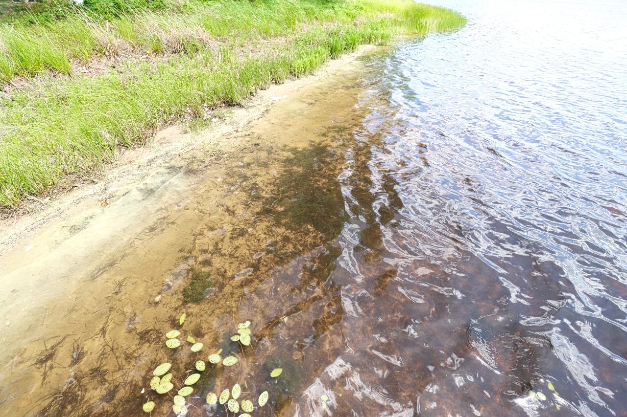 Undocumented Lake Property ON River Rd Photo 6