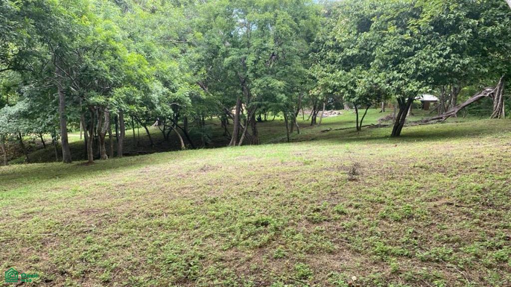 0 bed Land For Sale in Santa Cruz, Guanacaste - 1
