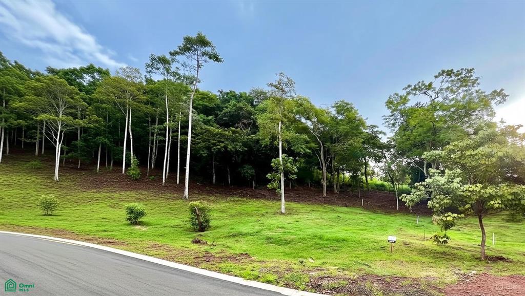 0 bed Land For Sale in Santa Cruz, Guanacaste - 1