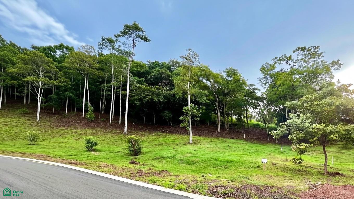 0 bed Land For Sale in Santa Cruz, Guanacaste - 1
