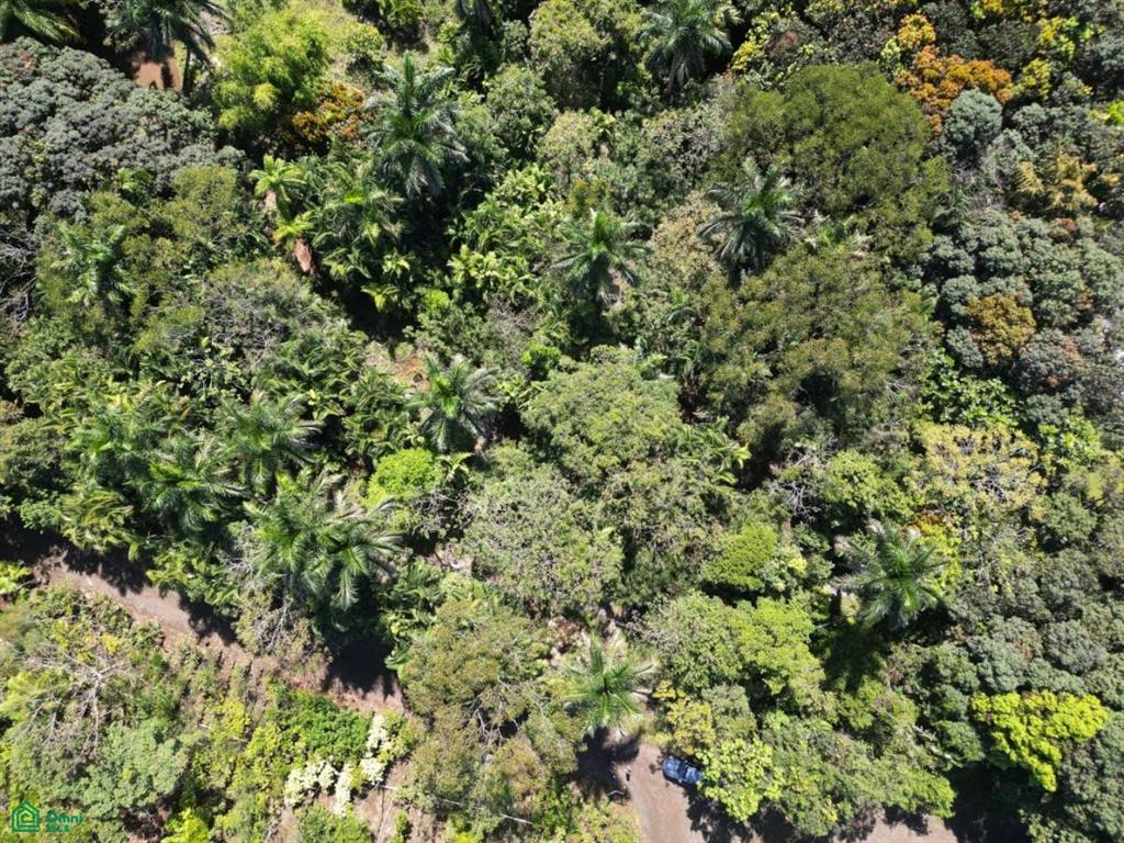 0 bed Land For Sale in Alajuela, Alajuela - 1
