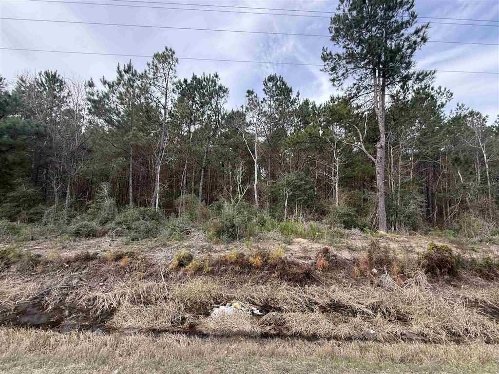 Hwy 383 Highway Lot 4 — photo 5