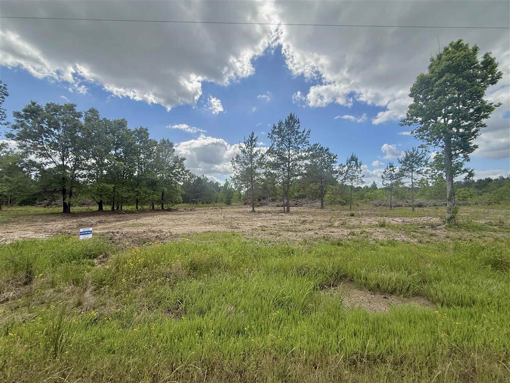 Hwy 383 Highway Lot 8