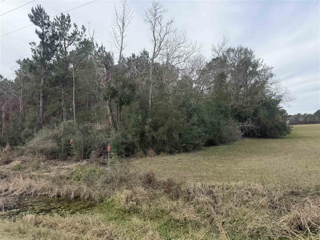 Hwy 383 Highway Lot 8 — photo 3