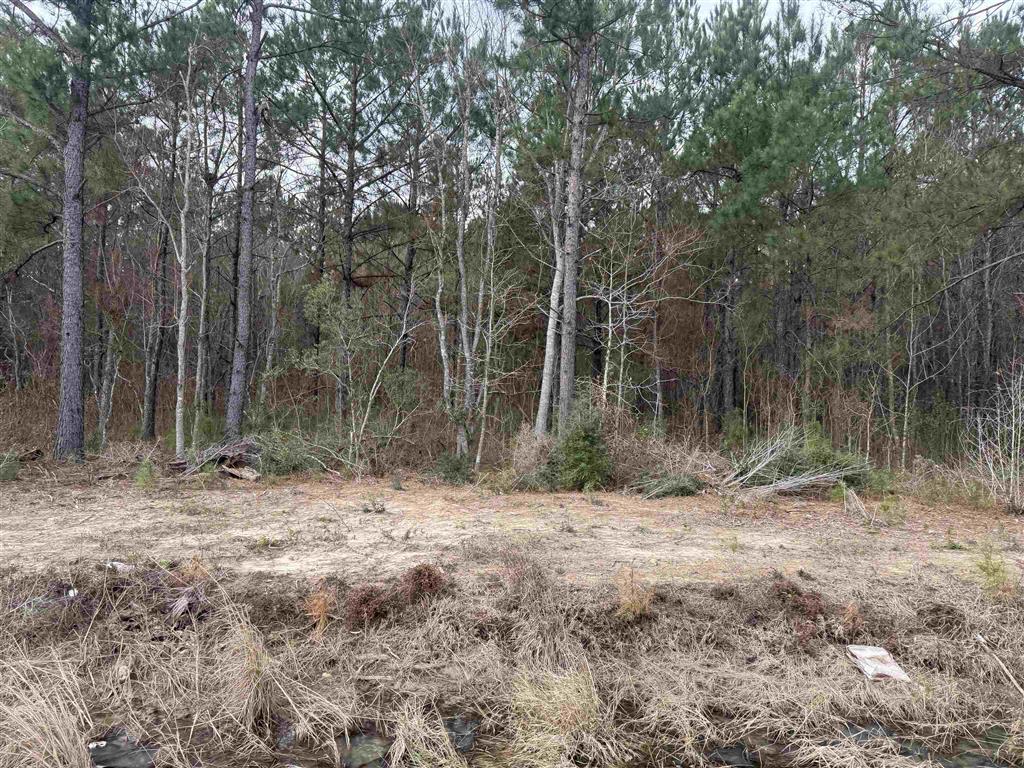 Hwy 383 Highway Lot 9 — photo 2