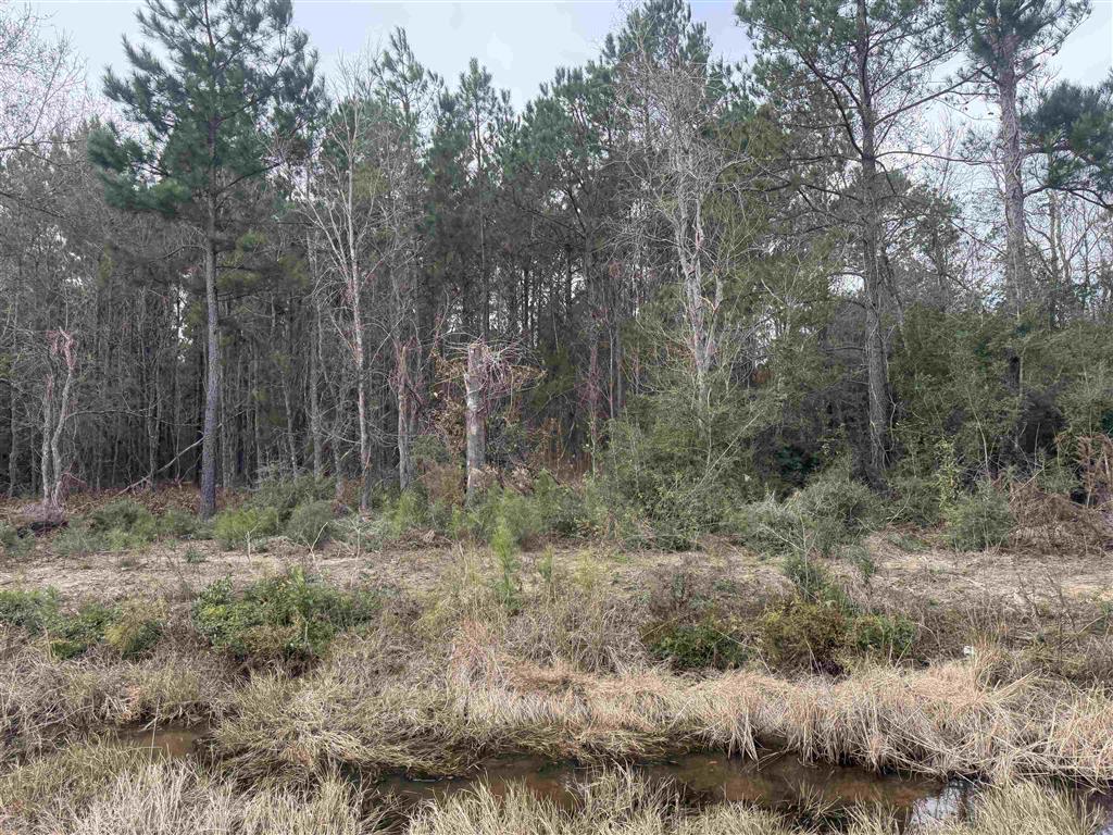 Hwy 383 Highway Lot 11 — photo 4