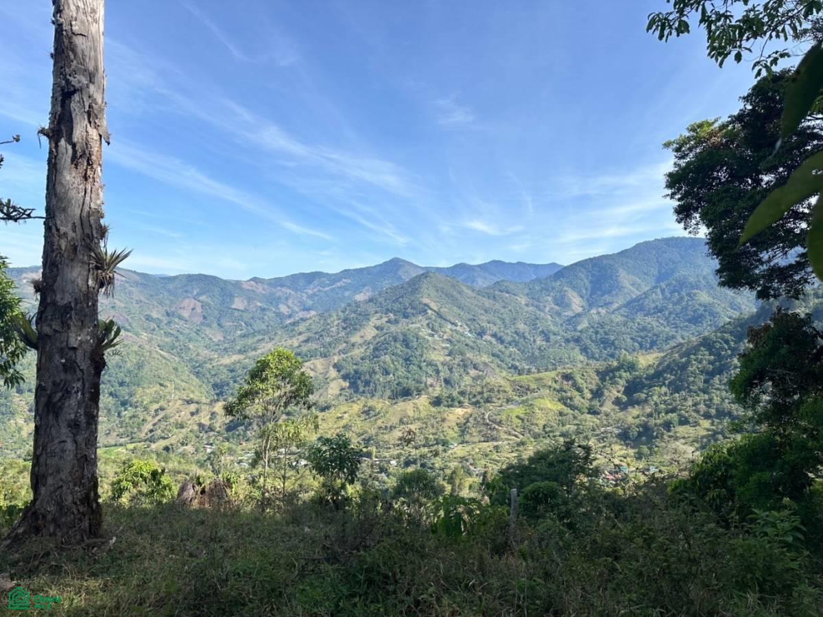0 bed Land For Sale in Perez Zeledon, San Jose - 1
