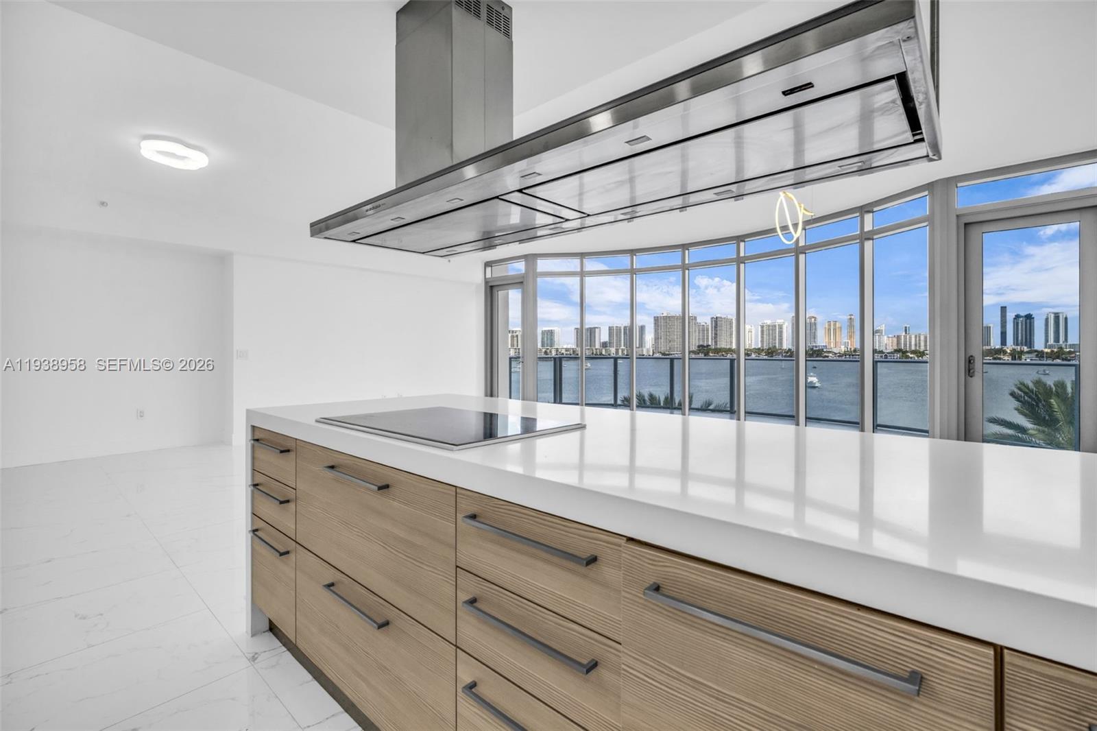 17111 Biscayne Blvd #411, North Miami Beach FL 33160