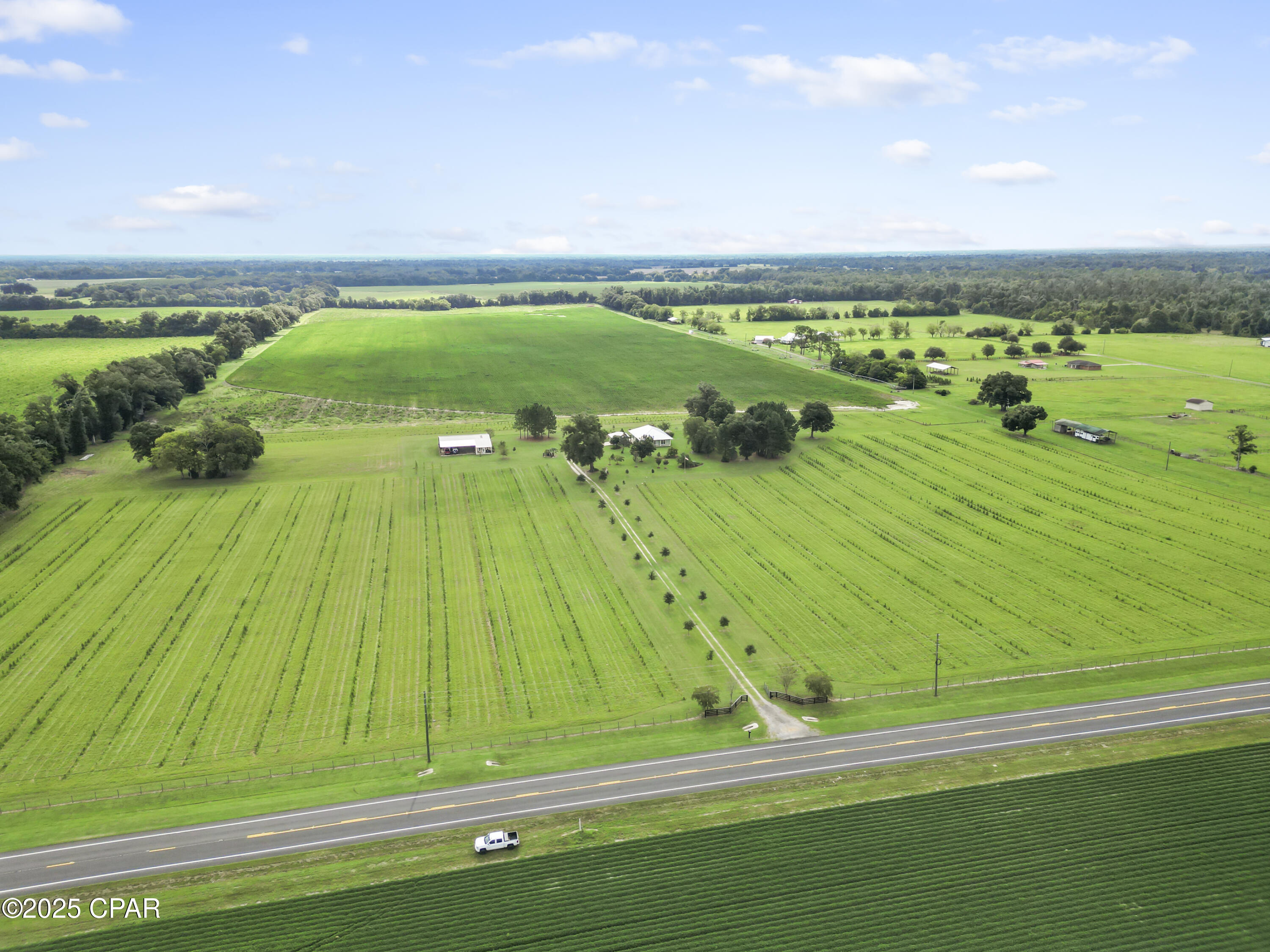 Listing photo id 1 for 5223 Palamino Lane