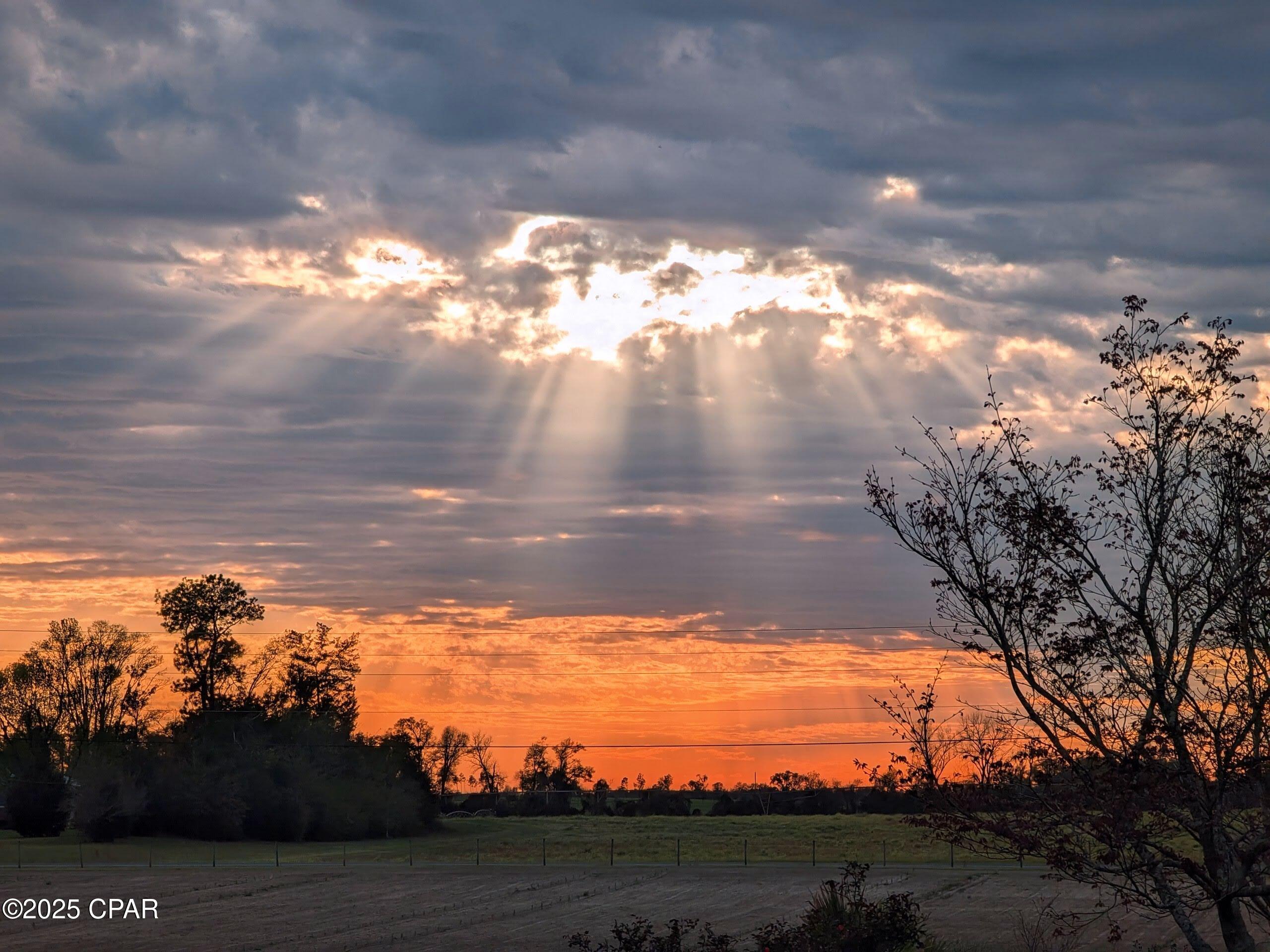 Listing photo id 48 for 5223 Palamino Lane