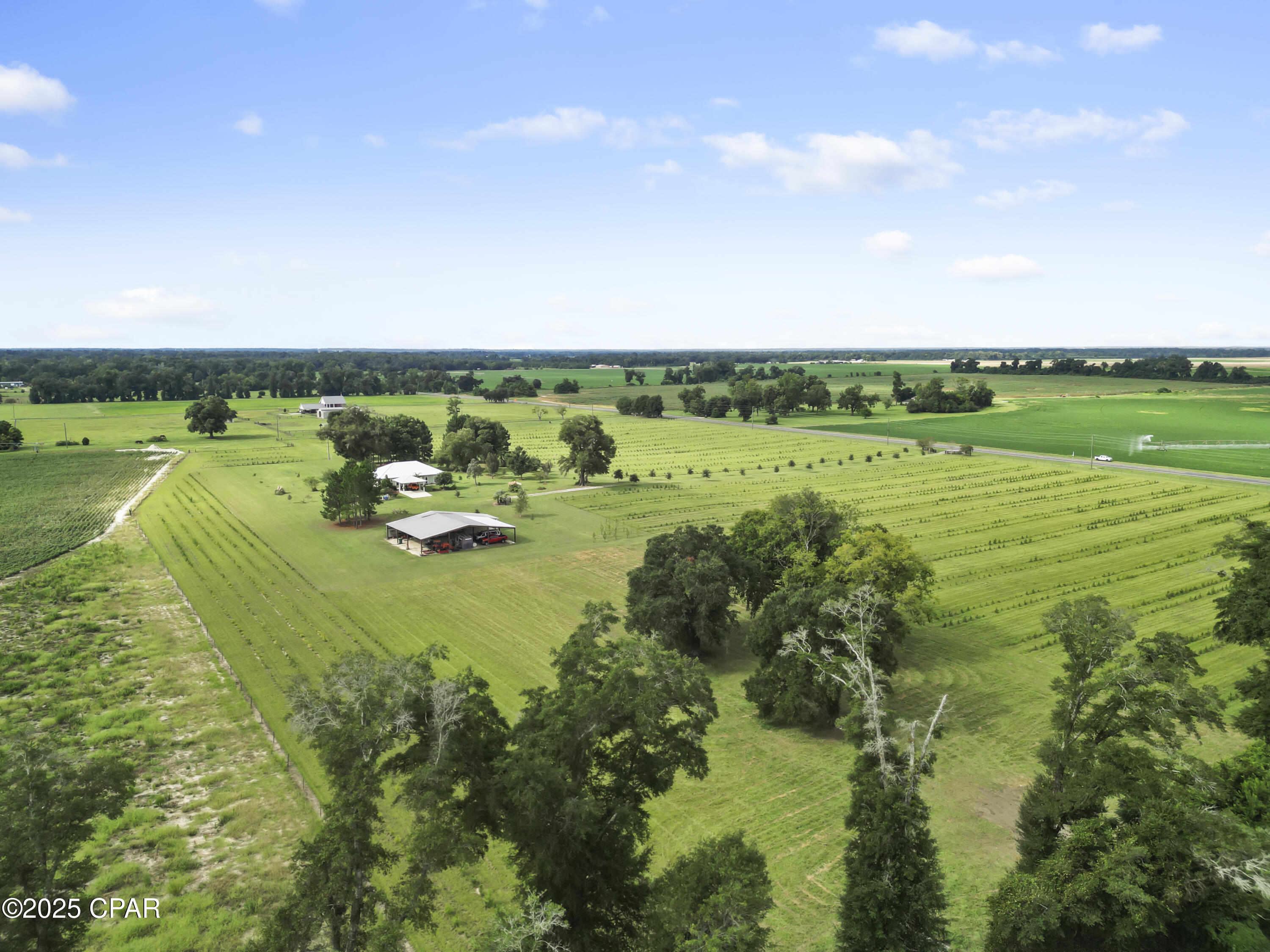 Listing photo id 9 for 5223 Palamino Lane