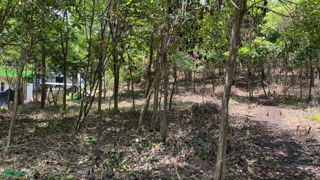 0 bed Land For Sale in Santa Cruz, Guanacaste - 1