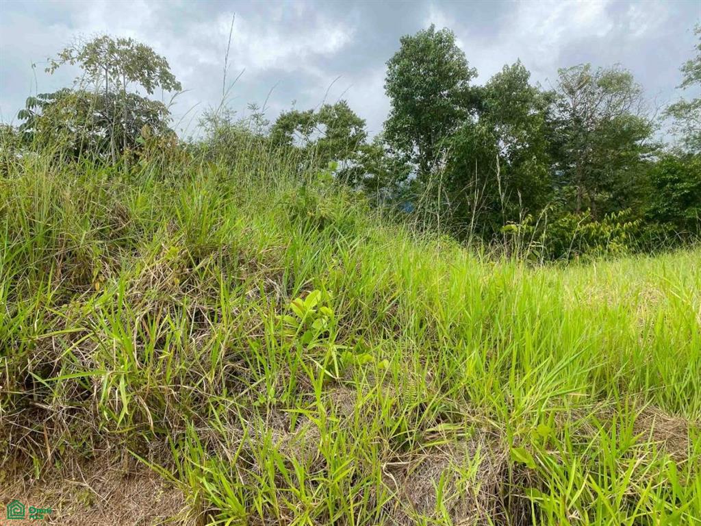 0 bed Land For Sale in Osa, Puntarenas - 1
