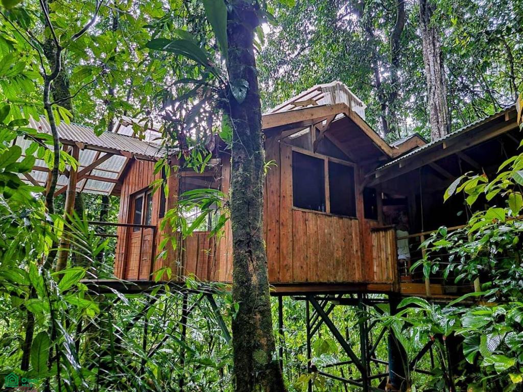 1 bed Single Family Homes For Sale in Osa, Puntarenas - 1
